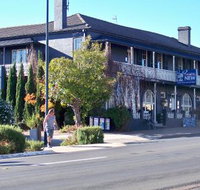 Coachwood  Cedar Motor Hotel Restaurant - Accommodation Adelaide