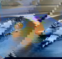 Echoes Restaurant - Accommodation Adelaide