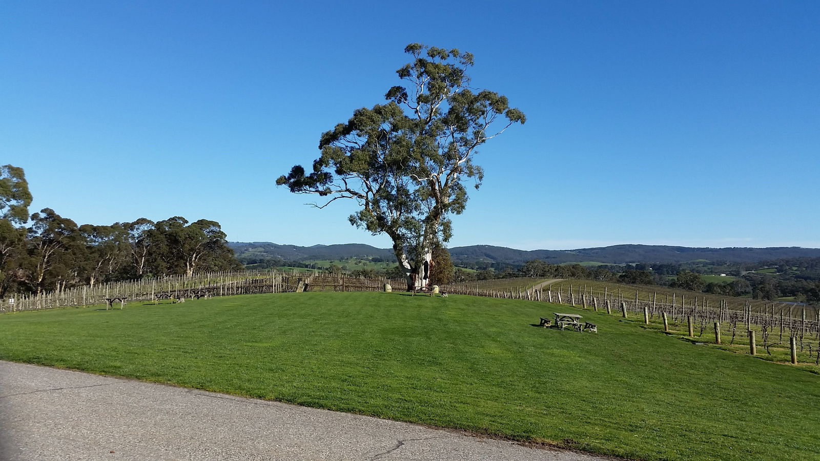  Accommodation Adelaide