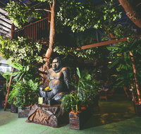 The Jungle - Kent Town Hotel - Accommodation Adelaide