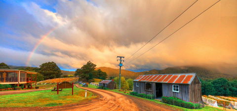 Hartzview Vineyard Heritage Pickers Hut Village - Accommodation Adelaide 0