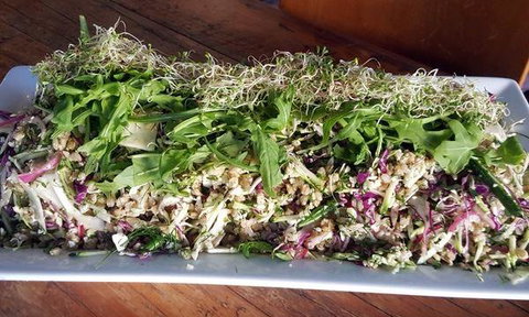 The Lithgow Tin Shed - Accommodation Adelaide 4