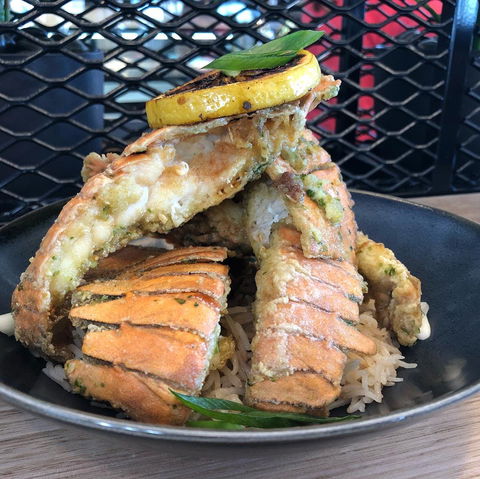 The Fish House - Accommodation Adelaide 0