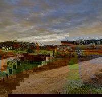 Baarmutha Wines - Accommodation Adelaide