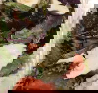 Ragazzi - Accommodation Adelaide