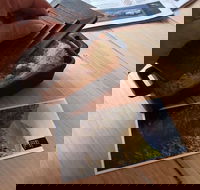 Story So Far - Accommodation Adelaide