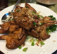 China Sea - Accommodation Adelaide