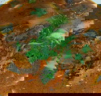 Left Bank Melbourne - Accommodation Adelaide