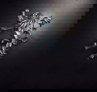 PJ O'Reilly's Irish Pub - Accommodation Adelaide