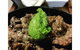 The Brook Bar And Bistro - thumb 0