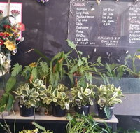 Crafty Cuts Roastery - Accommodation Adelaide