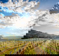 Fallen Giants Vineyard - Accommodation Adelaide