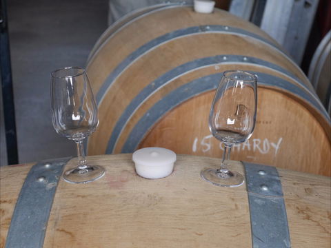 Pyramids Road Wines - Accommodation Adelaide 1