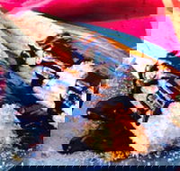 Donut King - Altona Meadows - Accommodation Adelaide