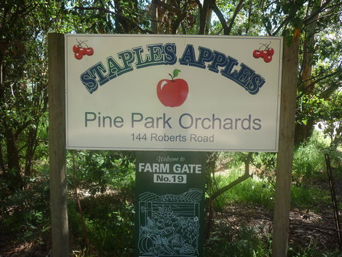 Staples Apples - Accommodation Adelaide 2