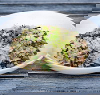 Coogee Diggers - Accommodation Adelaide