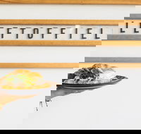 Left of Field - Accommodation Adelaide