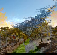 Ruddenklau Wines - Accommodation Adelaide