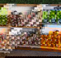 Melonhead - Accommodation Adelaide