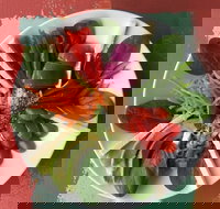 Olive Bus Clare - Accommodation Adelaide