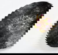 Atta - Accommodation Adelaide