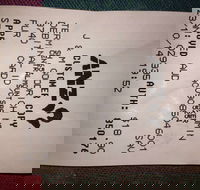 Bubba Pizza - Mount Barker - Accommodation Adelaide