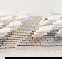 Tandoori Palace - Accommodation Adelaide