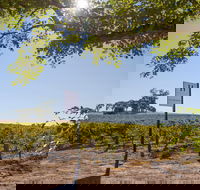 Hayes Family Wines - Accommodation Adelaide