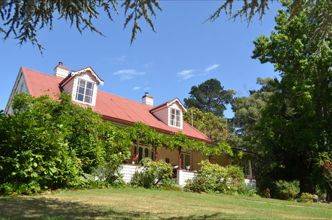 Lazy Teas - Accommodation Adelaide 0