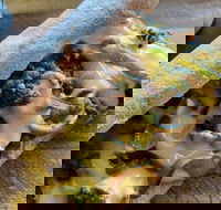 Philly Up - Accommodation Adelaide