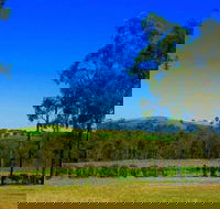Degen Wines - Accommodation Adelaide