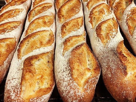 Rottnest Bakery - Accommodation Adelaide 2