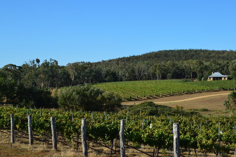 Twisted River Wines - Accommodation Adelaide 0
