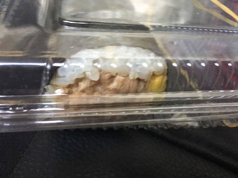 Asahi Sushi - Accommodation Adelaide 0