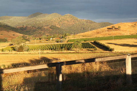 Optimiste Wines - Accommodation Adelaide 0