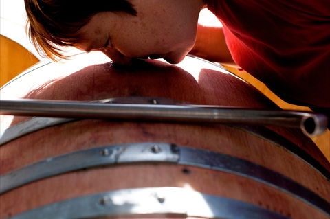 Yarrh Wines - Accommodation Adelaide 2