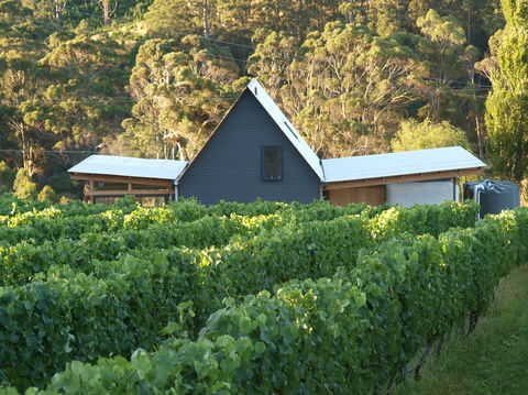 Two Bud Spur Vineyard - Accommodation Adelaide 0