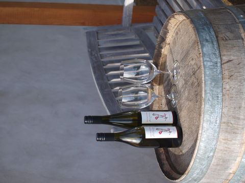 Two Bud Spur Vineyard - Accommodation Adelaide 1