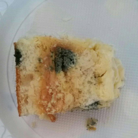 Central Patisseries - Accommodation Adelaide 0