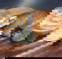 Middle Park Bakery - Accommodation Adelaide