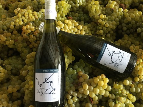 Tobin Wines - Accommodation Adelaide 2