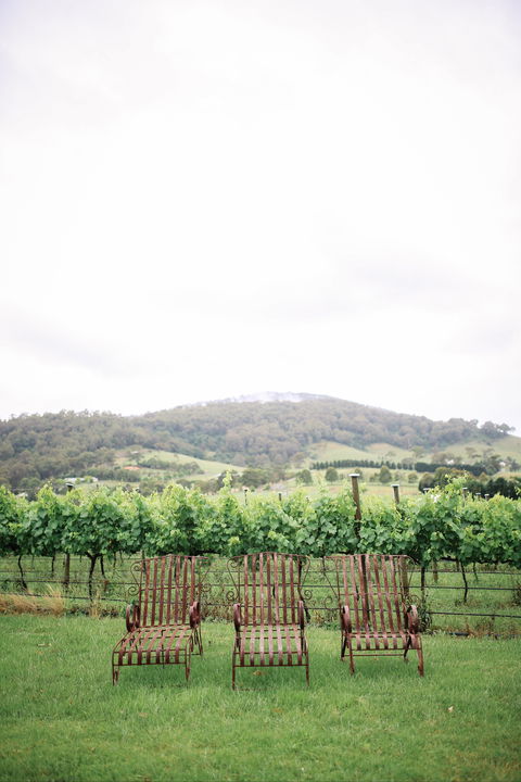 Two Figs Winery - Accommodation Adelaide 2