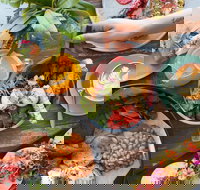 Flour  Fern - Accommodation Adelaide