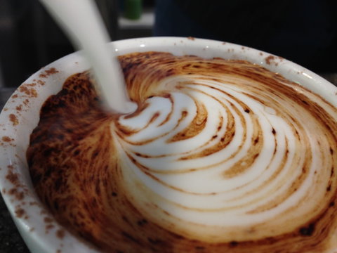 Jaques Coffee Plantation - Accommodation Adelaide 1