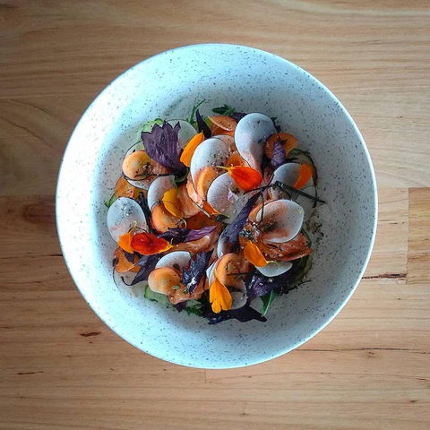 Pachinko - Accommodation Adelaide 0