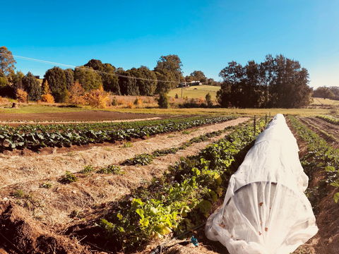 Synchronicity Farm - Accommodation Adelaide 0