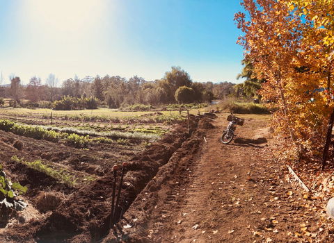 Synchronicity Farm - Accommodation Adelaide 1