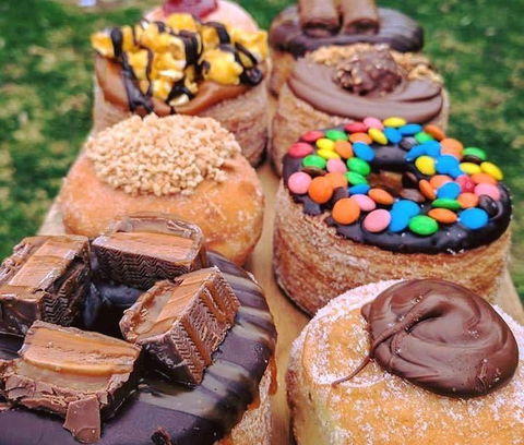 Anchovy - Accommodation Adelaide 12