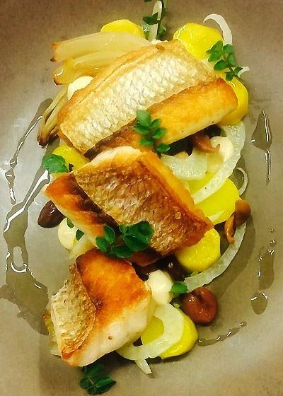 Altitude On Montville - Accommodation Adelaide 3