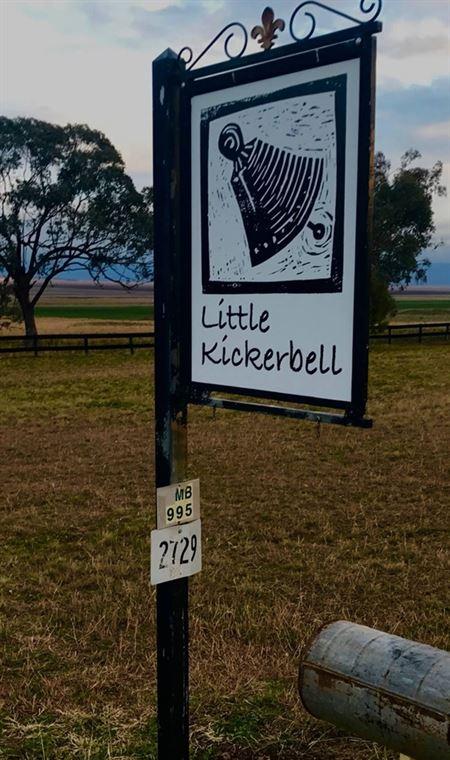 Little Kickerbell - Accommodation Adelaide 1